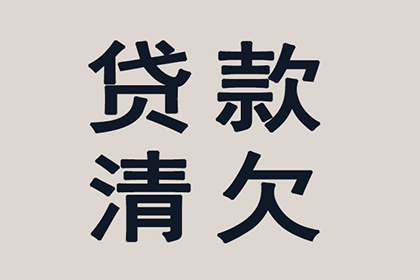 美团借款违约可能面临何种刑罚？